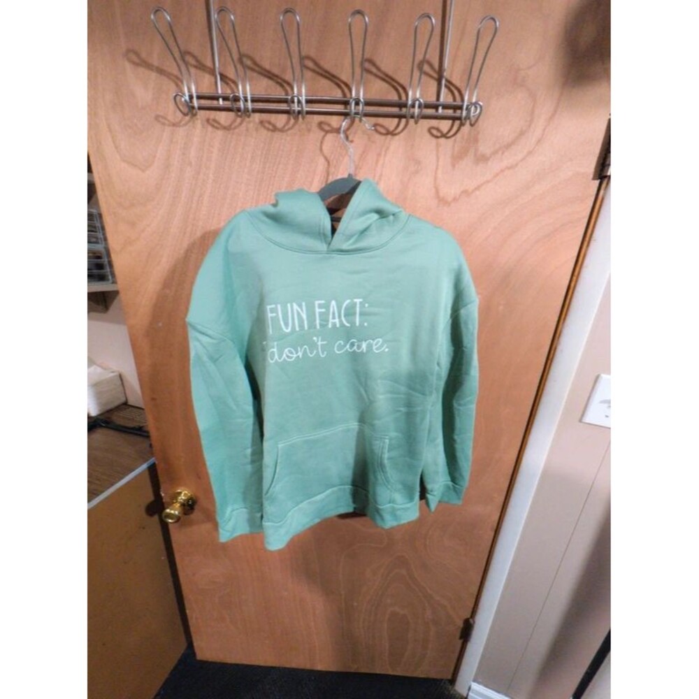 Sage green Hoodie size small